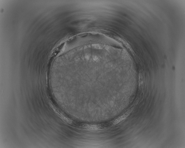 X0000083650349200703121751