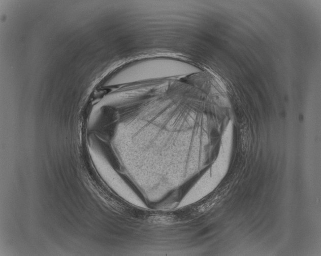 X0000083650350200703121751