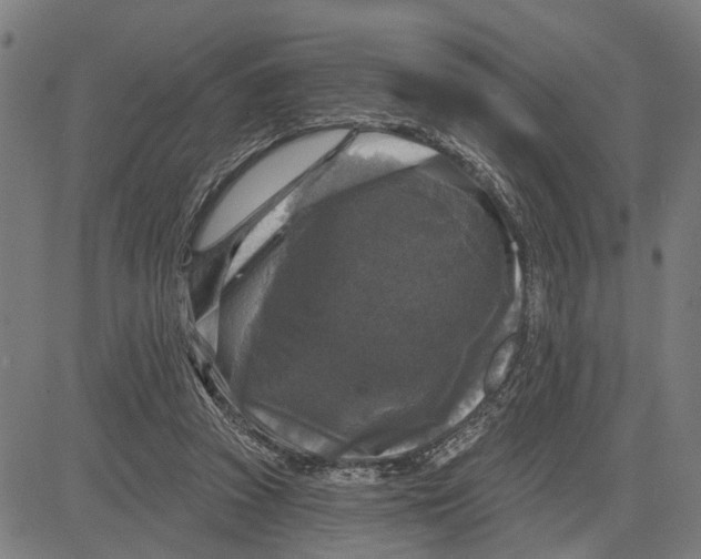 X0000083650353200703121751