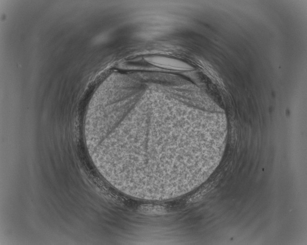 X0000083650354200703121751