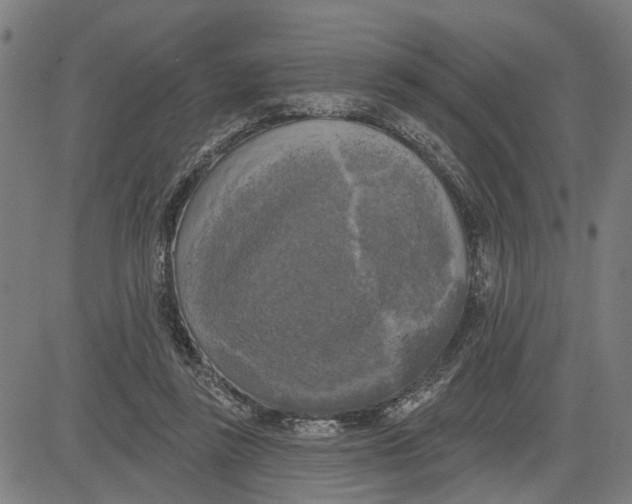 X0000083650355200703121751