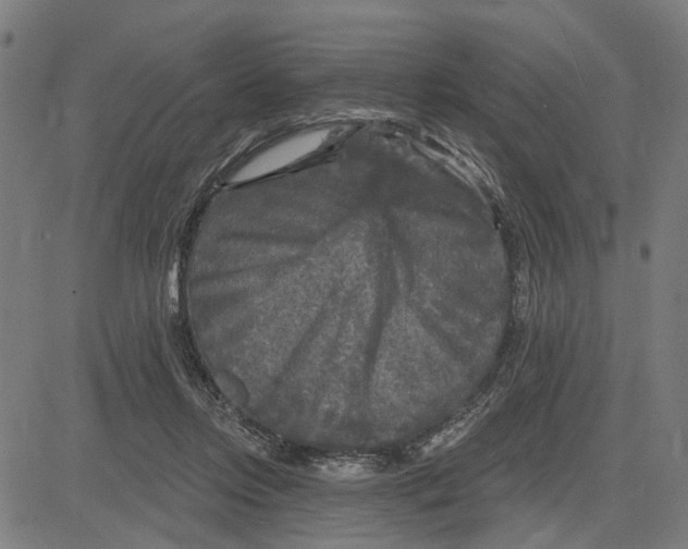 X0000083650358200703121751