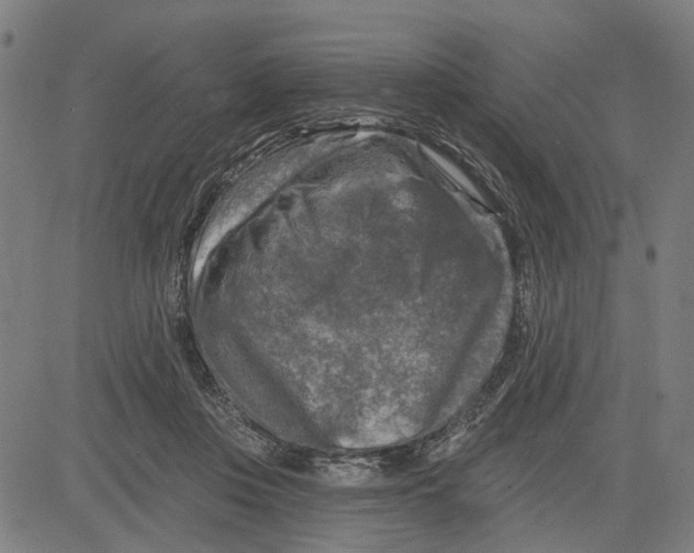 X0000083650359200703121751