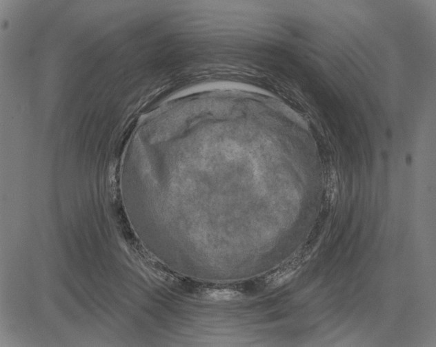 X0000083650360200703121751