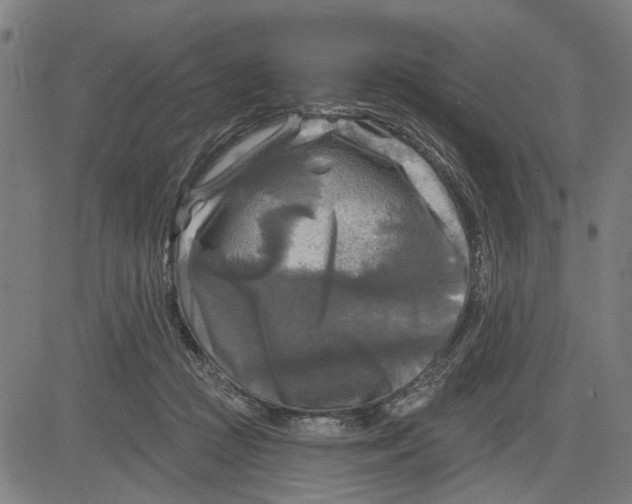 X0000083650361200703121751