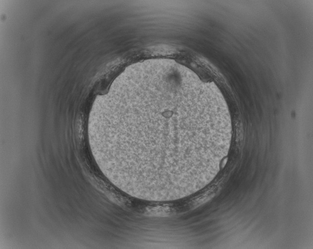 X0000083650362200703121751