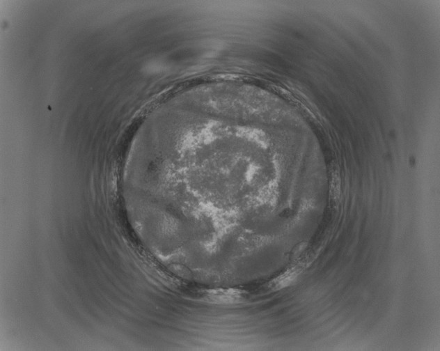 X0000083650363200703121751