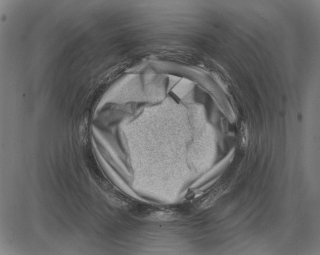 X0000083650364200703121751