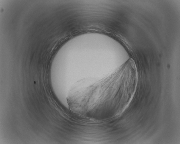 X0000083650365200703121751