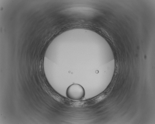 X0000083650366200703121751