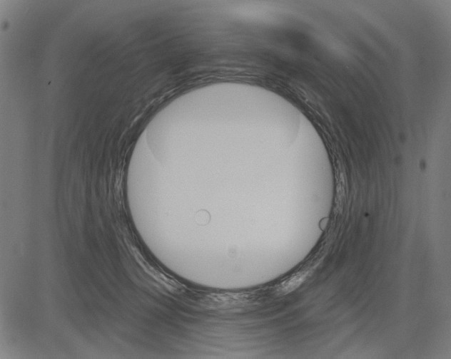 X0000083650367200703121751