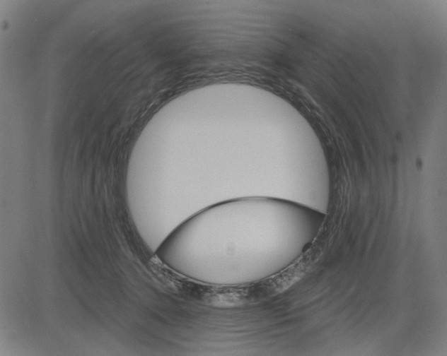 X0000083650368200703121751