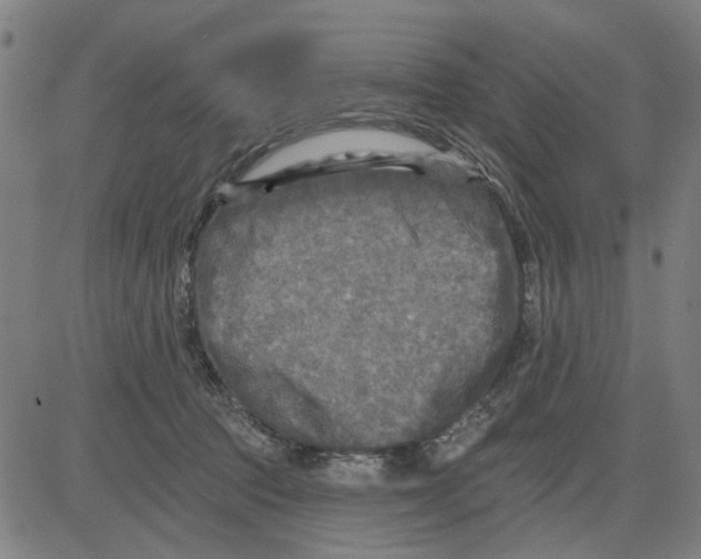 X0000083650369200703121751