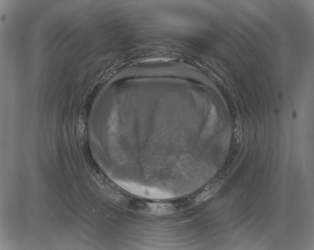 X0000083650371200703121751