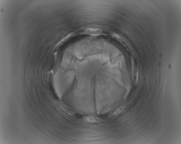 X0000083650372200703121751