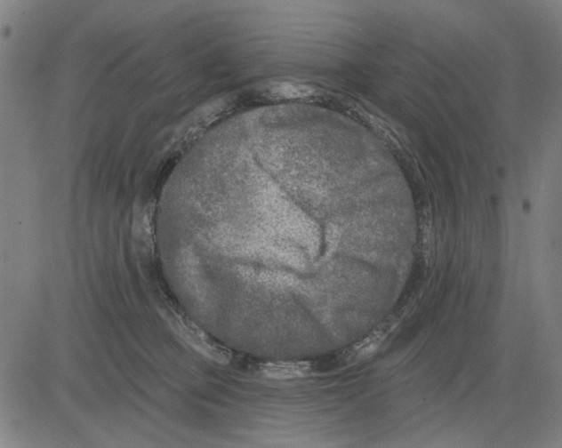 X0000083650373200703121751