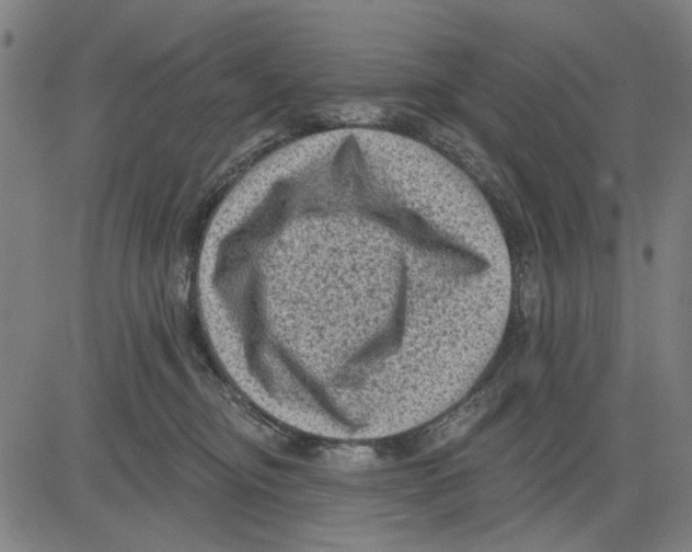 X0000083650374200703121751