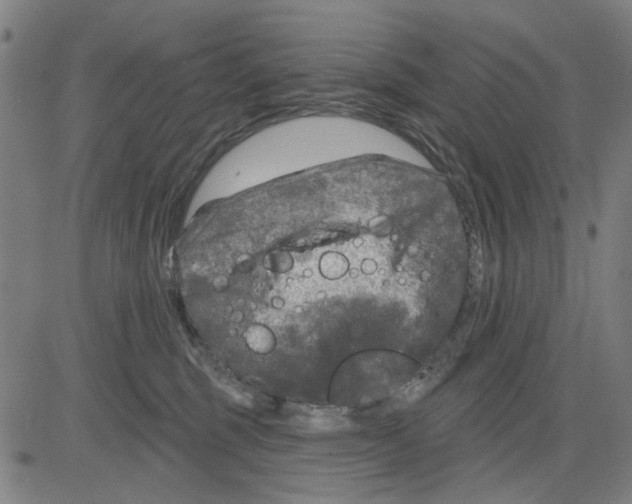 X0000083650375200703121751