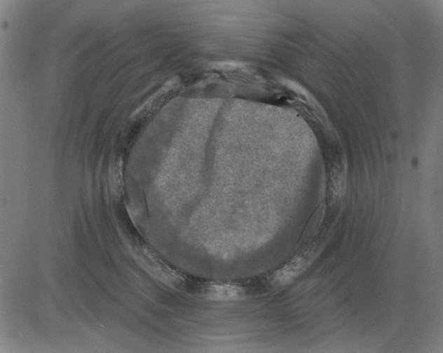 X0000083650376200703121752