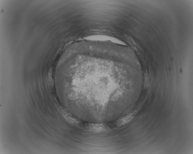 X0000083650377200703121752