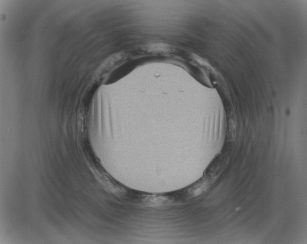 X0000083650379200703121752