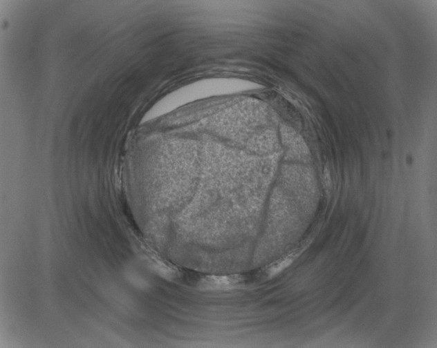 X0000083650381200703121752