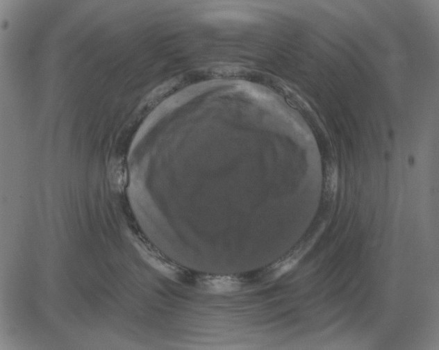 X0000083650383200703121752