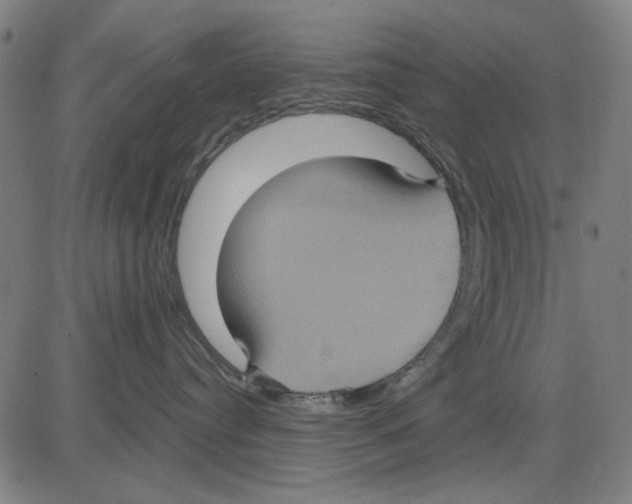 X0000083650384200703121752