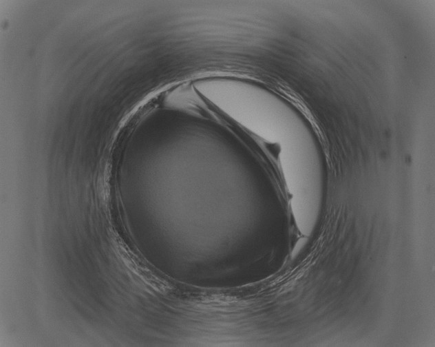 X0000083650387200703121751