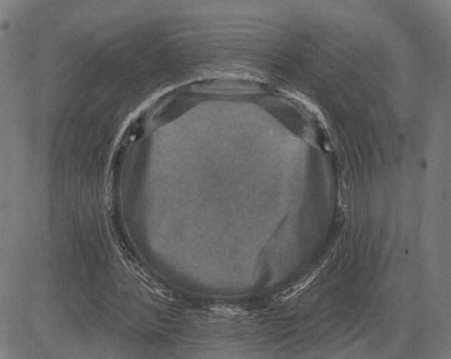 X0000083650388200703121751