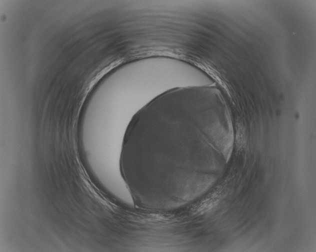 X0000083650390200703121751