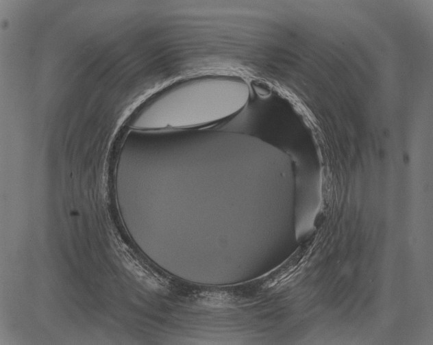 X0000083650391200703121751