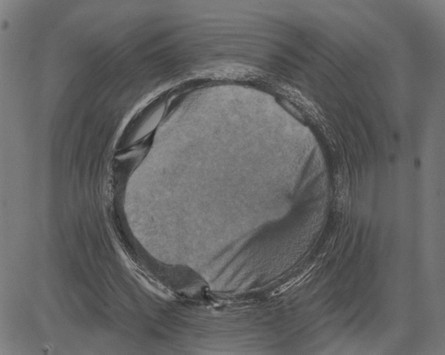 X0000083650392200703121751