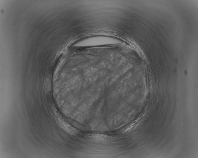 X0000083650393200703121751