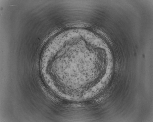 X0000083650394200703121751