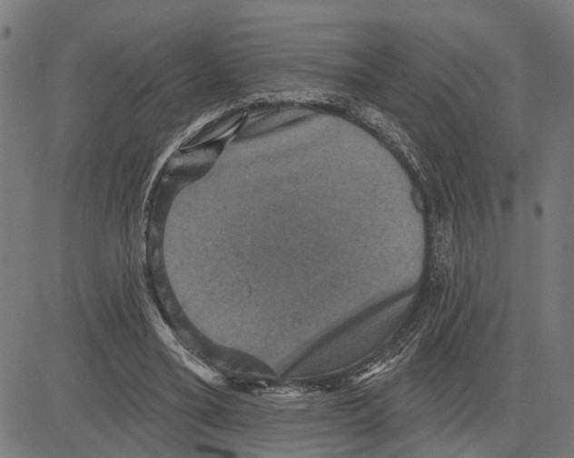 X0000083650395200703121751