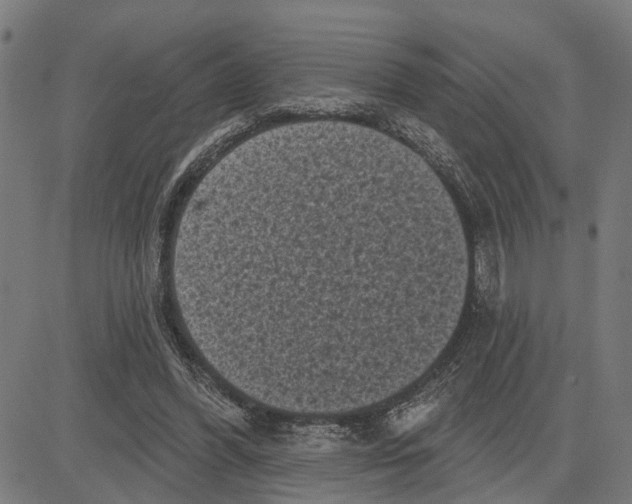 X0000083650396200703121751