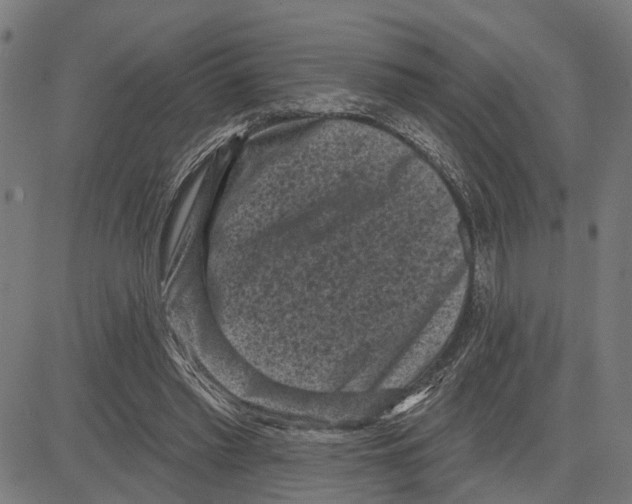 X0000083650397200703121751