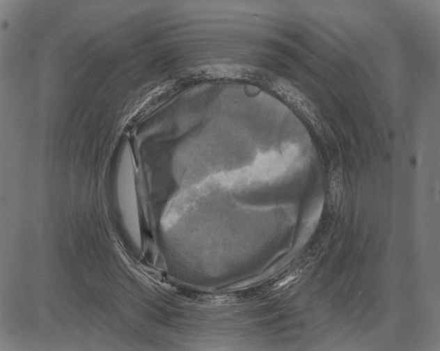 X0000083650398200703121751