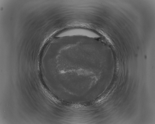 X0000083650399200703121751