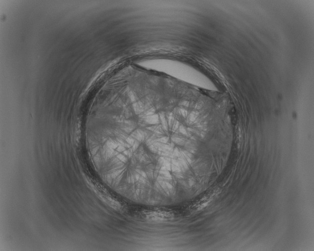 X0000083650400200703121751