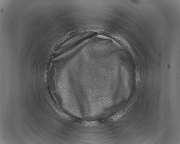 X0000083650401200703121751