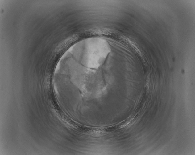 X0000083650402200703121751