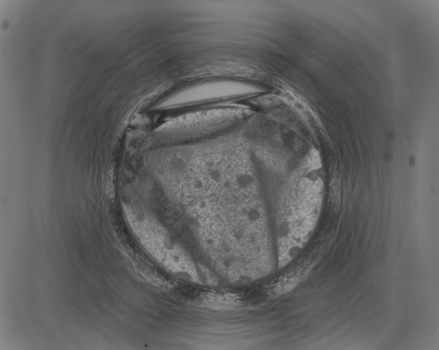 X0000083650403200703121751