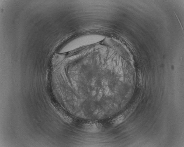 X0000083650404200703121751