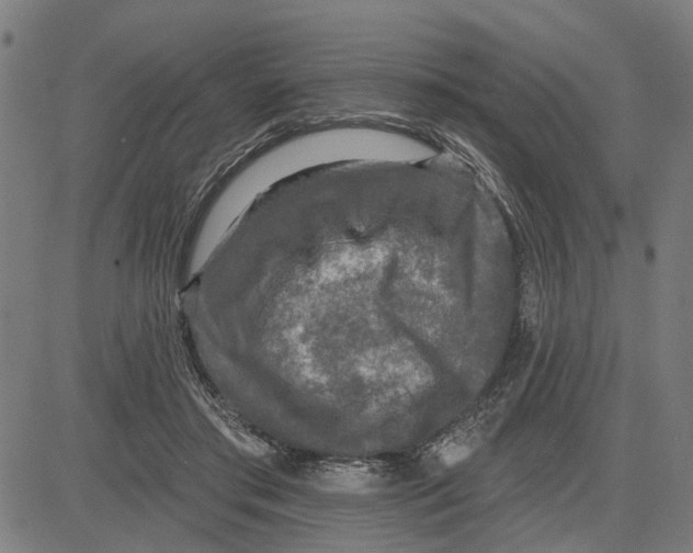 X0000083650405200703121751