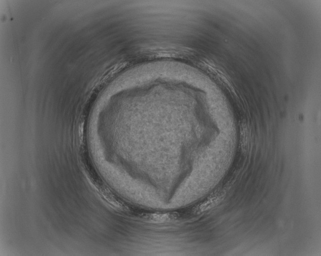 X0000083650406200703121750