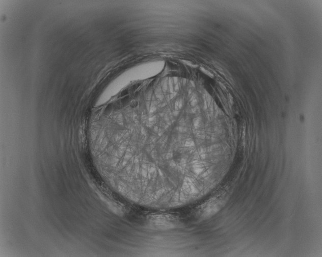 X0000083650408200703121750