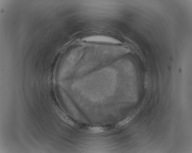 X0000083650409200703121750