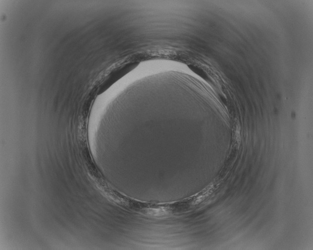 X0000083650411200703121750